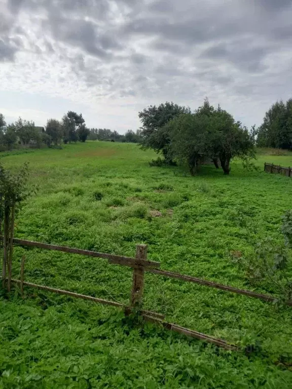Участок в Псковская область, Псковский район, Ершовская волость, д. ... - Фото 1