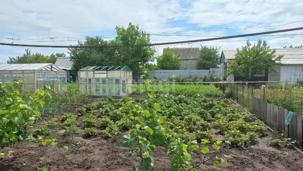 Дом в Белгородская область, Яковлевский муниципальный округ, Рассвет ... - Фото 0
