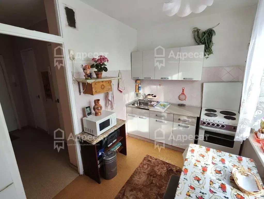 1-к кв. Волгоградская область, Волгоград ул. Академика Богомольца, 8 ... - Фото 1