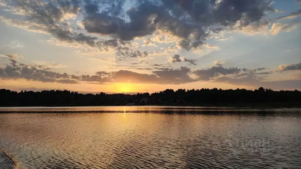 Участок в Новгородская область, Демянский муниципальный округ, д. ... - Фото 2