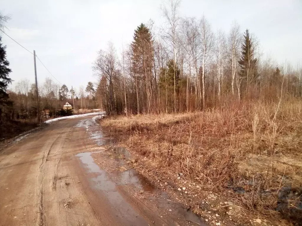 Участок в Вологодская область, с. Сямжа ул. Сиреневая, 8 (15.0 сот.) - Фото 0