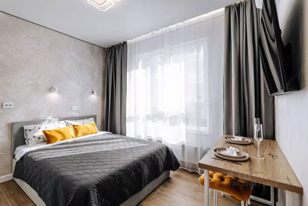Студия Алтайский край, Барнаул ул. Шумакова, 13 (22.0 м) - Фото 2