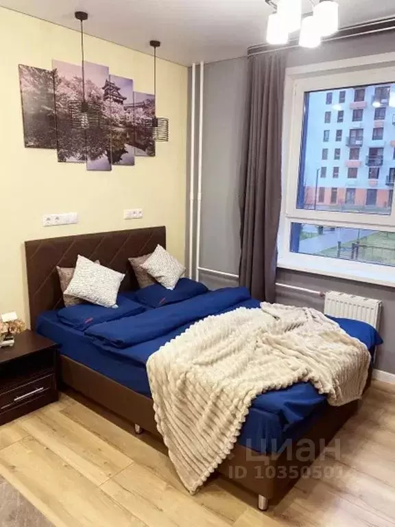 1-к кв. Калужская область, Обнинск ул. Курчатова, 25/1 (20.0 м) - Фото 2