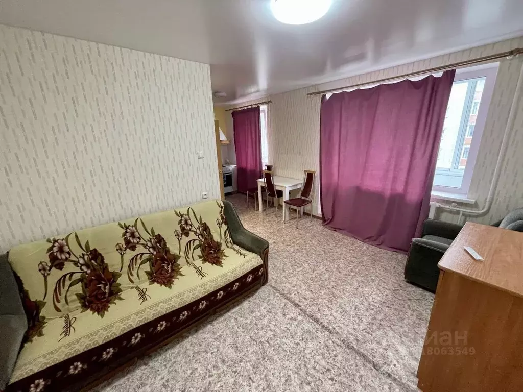 Студия Карелия, Петрозаводск ул. Торнева, 7Б (29.0 м) - Фото 1