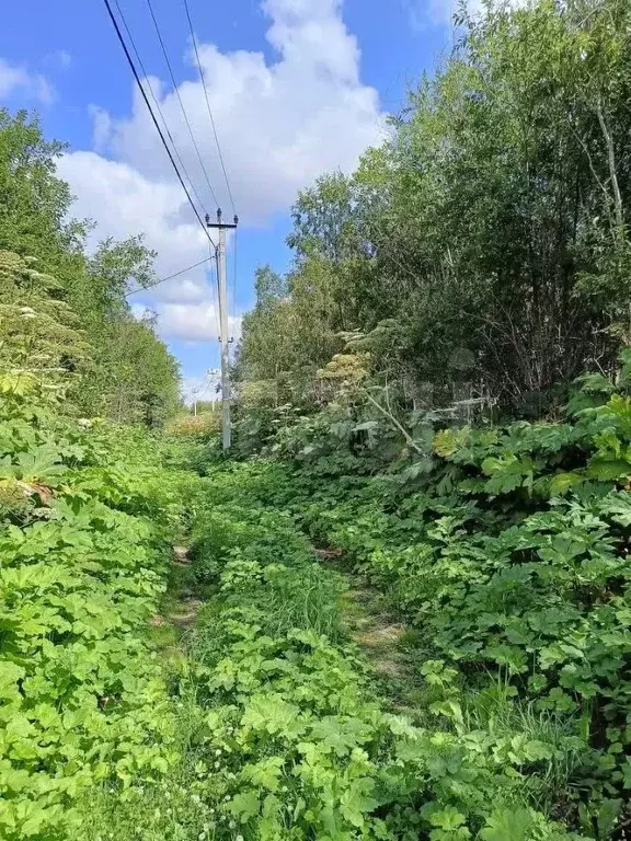 Участок в Коми, Сыктывдинский район, с. Выльгорт ул. Березовая (8.8 ... - Фото 2