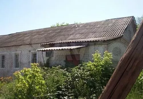 Сдается в аренду здание Жирновский район, село Медведица - Фото 0