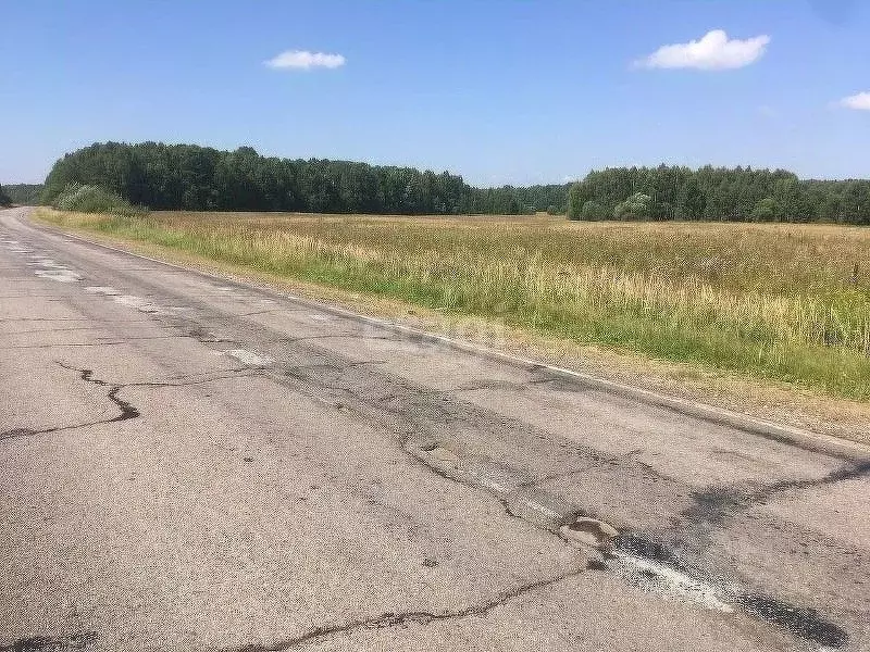 Участок в Калужская область, Юхновский муниципальный округ, Щелканово ... - Фото 1