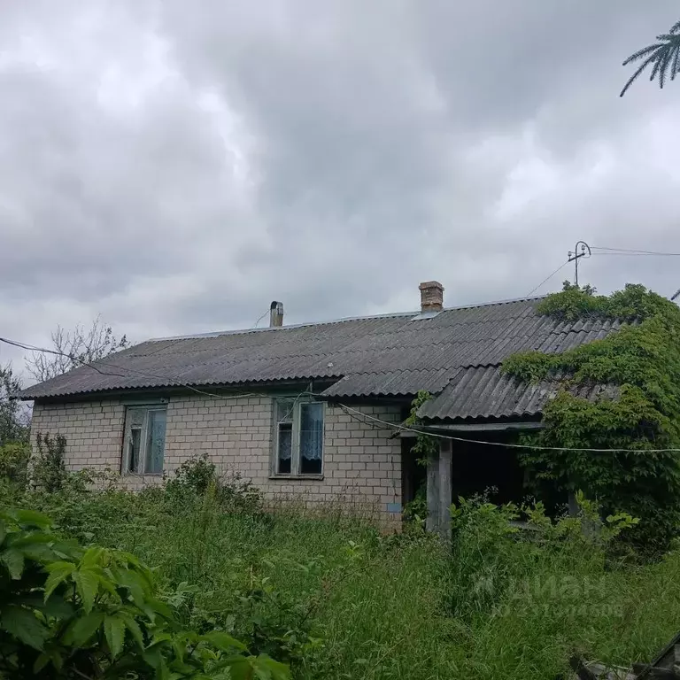 Дом в Псковская область, Палкинский муниципальный округ, д. Родовое  ... - Фото 1