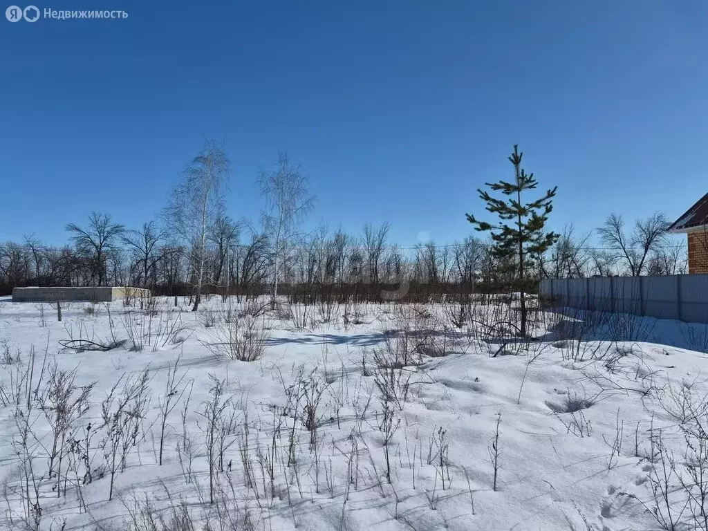 Участок в Борисоглебск, Семейная улица (6.43 м) - Фото 1