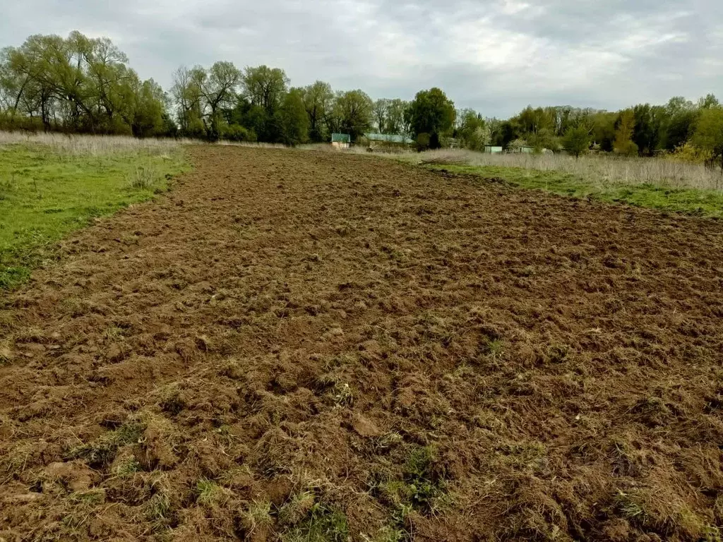 Участок в Калужская область, Жуковский район, Трубино с/пос, д. ... - Фото 2