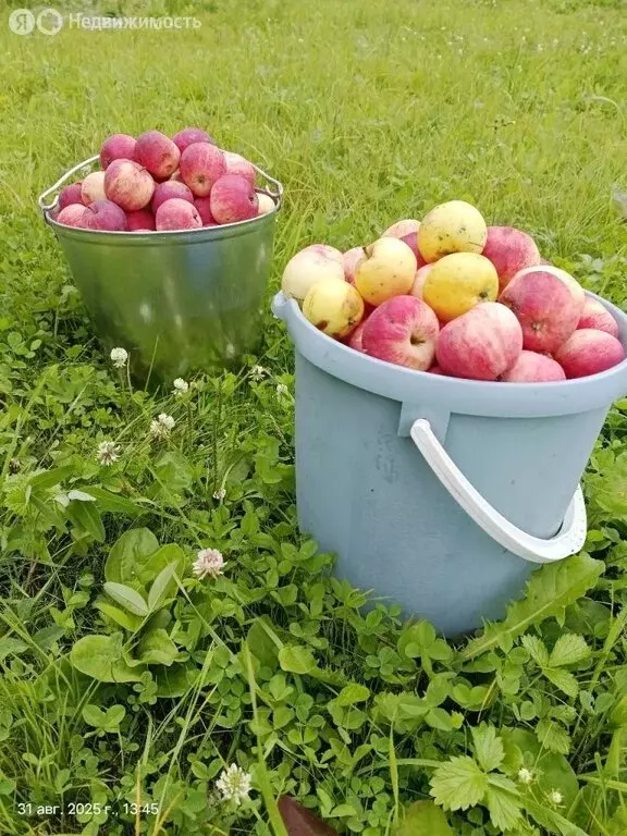 Участок в Екатеринбург, СНТ Прогресс № 2, 14 (6.27 м) - Фото 1