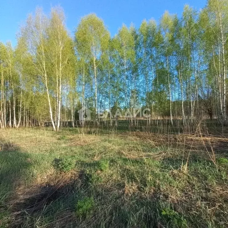 Участок в Владимирская область, Владимир Миловка СТ,  (10.0 сот.) - Фото 0