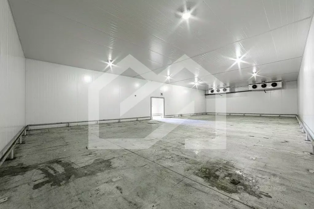 Производственное помещение в Московская область, Раменское ул. ... - Фото 0