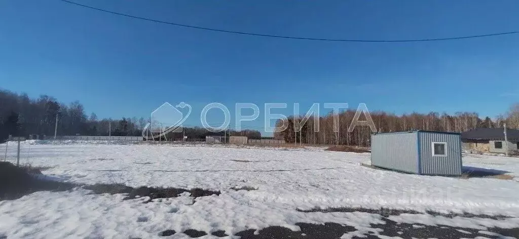 Участок в Тюменская область, Тюменский муниципальный округ, Каменское ... - Фото 1