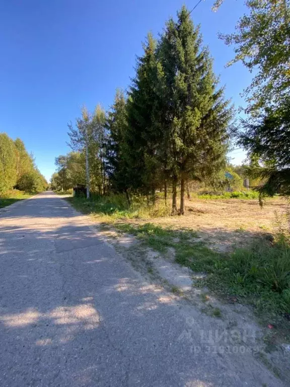 Участок в Нижегородская область, Бор пос. Большое Пикино, ул. ... - Фото 2