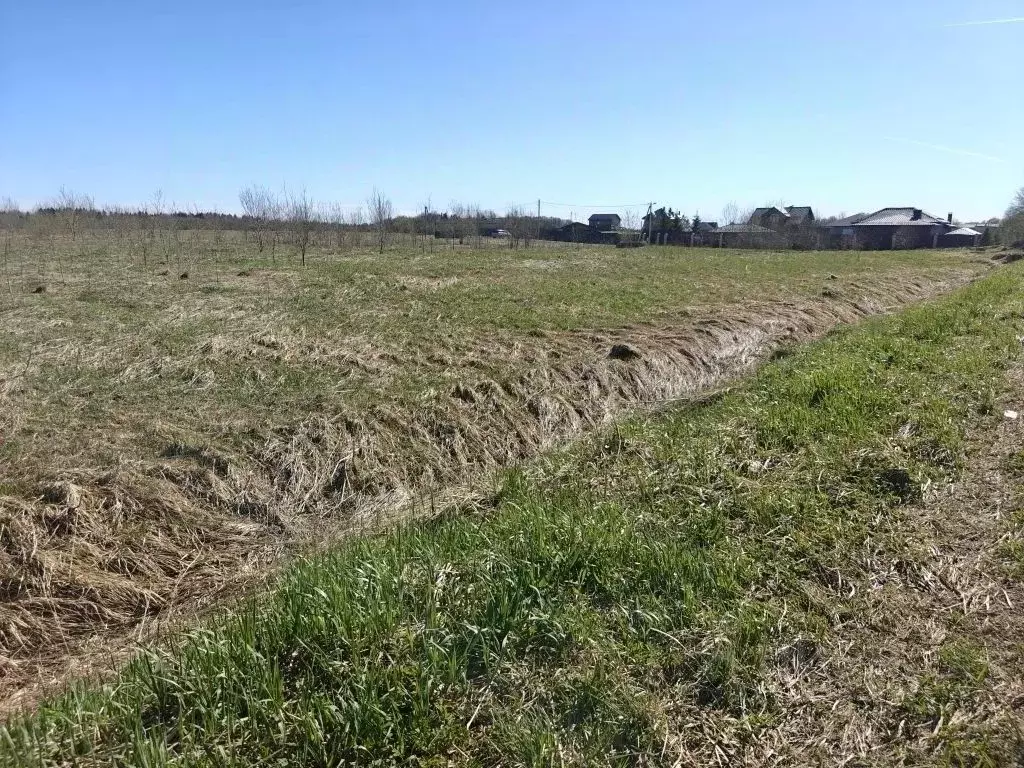Участок в Ленинградская область, Ломоносовский район, Лопухинское ... - Фото 1