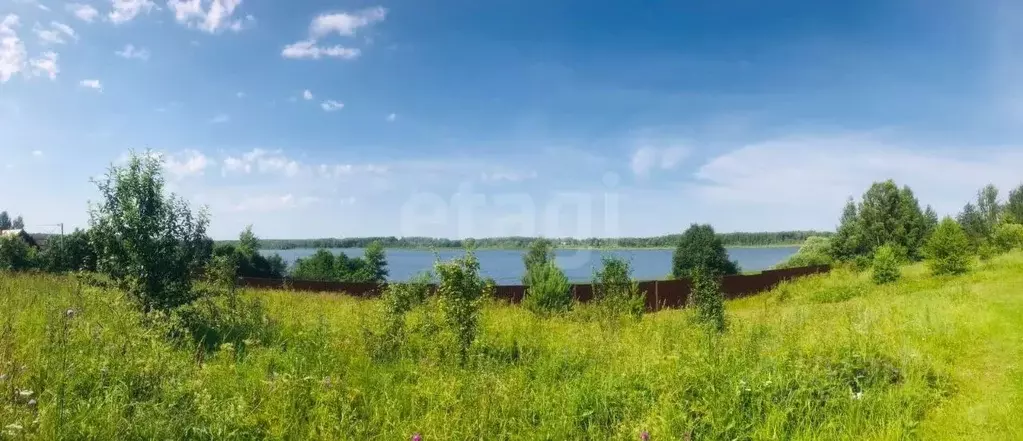 Участок в Ярославская область, Ростовский муниципальный округ, д. ... - Фото 1