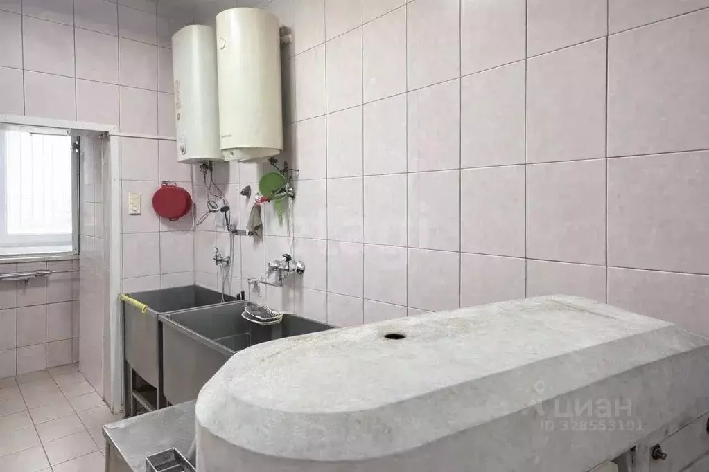 Помещение свободного назначения в Алтай, Майминский район, с. Майма ... - Фото 2