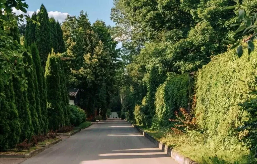 Участок в Московская область, Одинцовский городской округ, пос. ... - Фото 2
