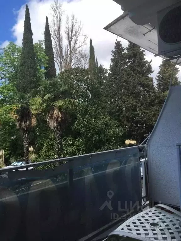 1-к кв. Краснодарский край, Сочи Курортный просп., 75к1 (21.0 м) - Фото 2