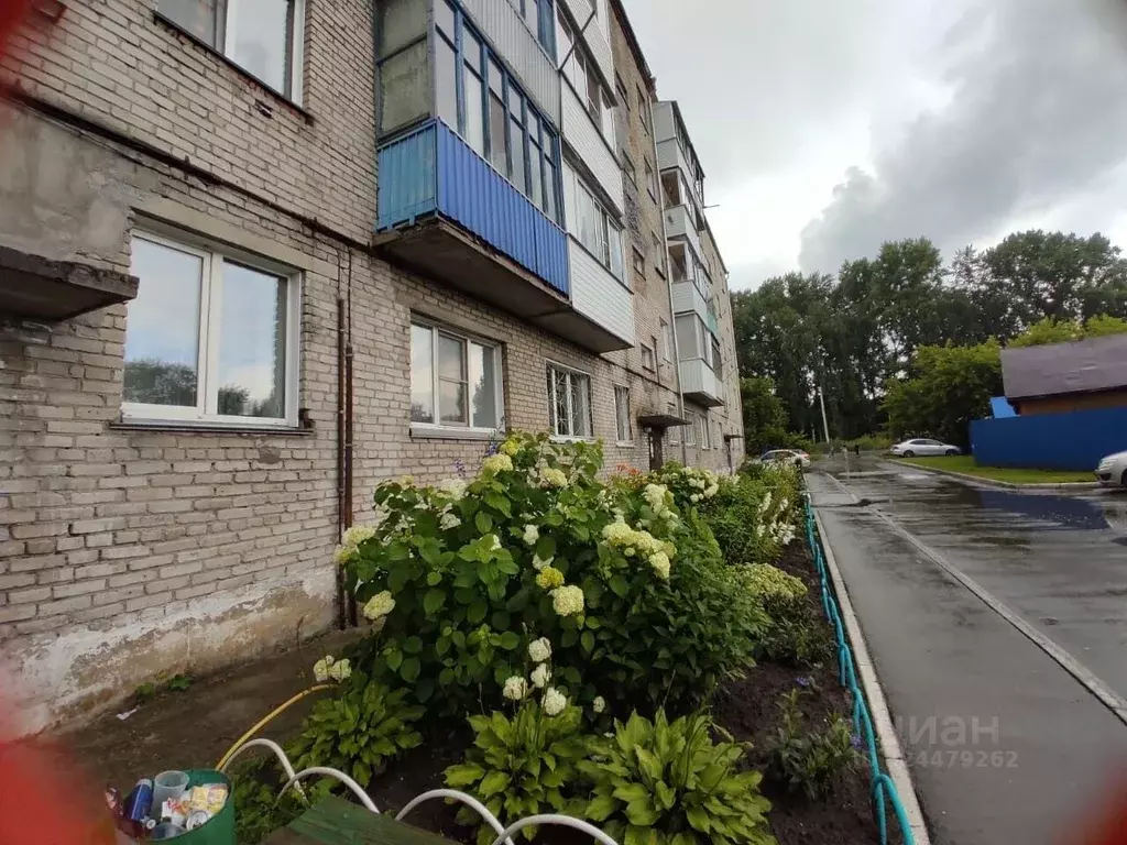 2-к кв. Новосибирская область, Новосибирский район, Барышевский ... - Фото 1