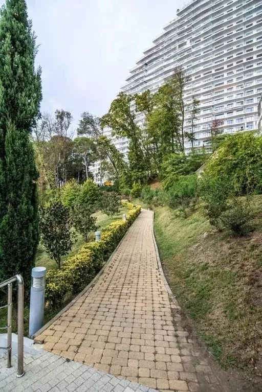 1-к кв. Краснодарский край, Сочи Курортный просп., 105б (43.2 м) - Фото 2