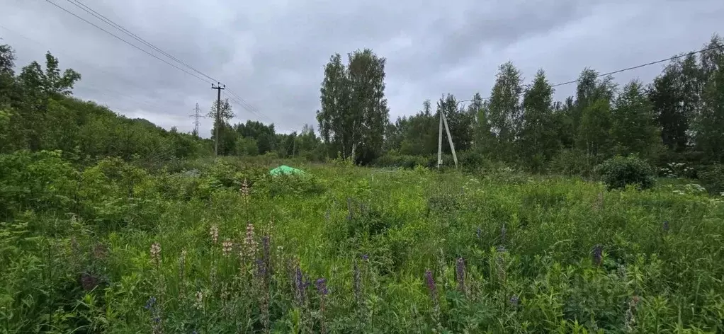 Участок в Московская область, Люберцы городской округ, Красково пгт, ... - Фото 1