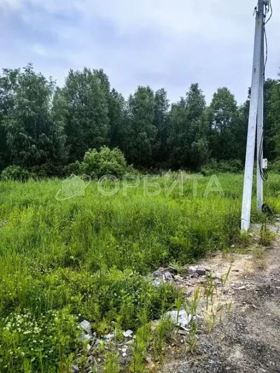 Участок в Тюменская область, Тюмень Якорь садовое товарищество, ул. ... - Фото 1