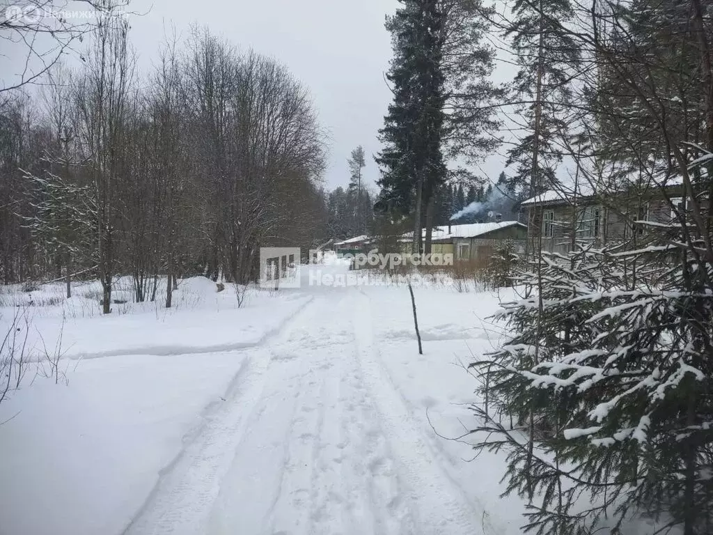 Участок в Суоярви, улица Новосёлов (10 м) - Фото 1