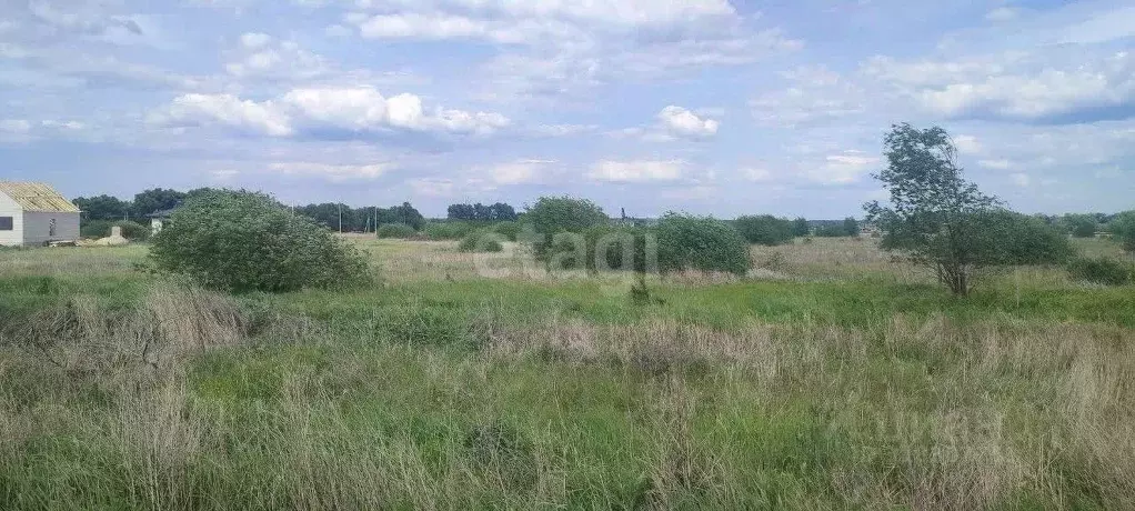 Участок в Воронежская область, с. Новая Усмань  (8.0 сот.) - Фото 0