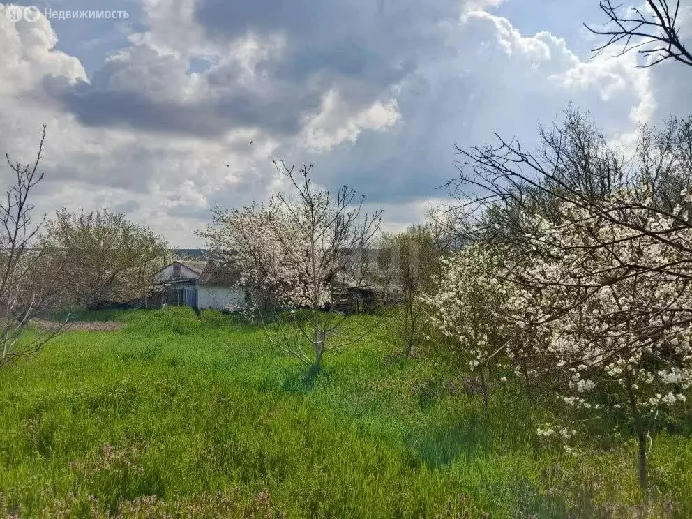 Дом в Льговское, улица Гагарина, 80 (53.4 м) - Фото 1