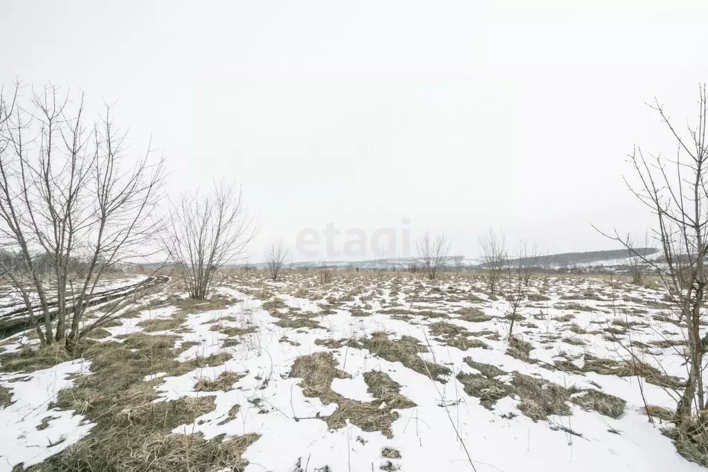 Участок в Кемеровская область, Прокопьевский район, пос. Калачево  ... - Фото 0