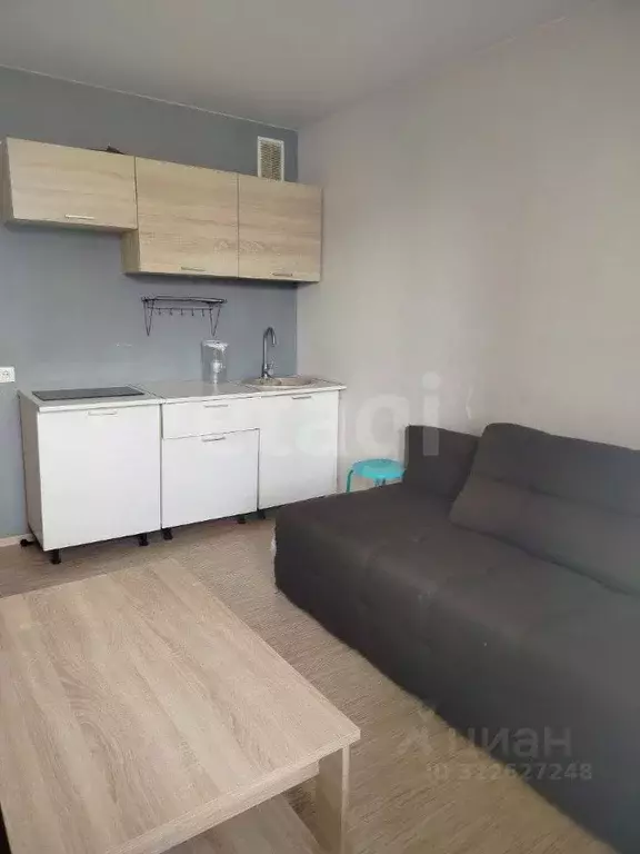 Студия Новосибирская область, Бердск ул. Гранитная, 16 (20.0 м) - Фото 1