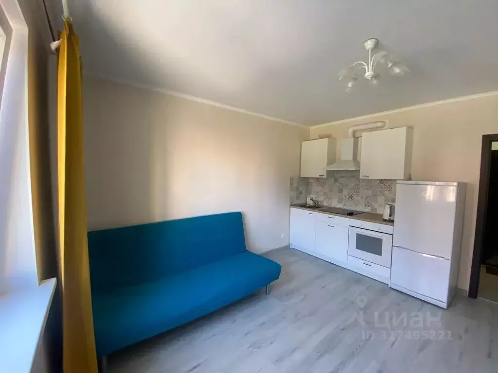 1-к кв. Санкт-Петербург просп. Королева, 62 (25.0 м) - Фото 0