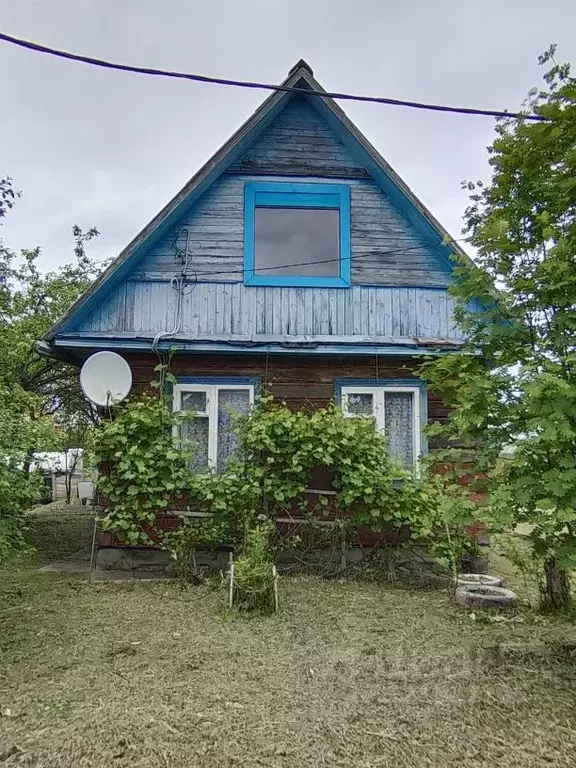 Дом в Псковская область, Гдовский район, Добручинская волость, Дачное ... - Фото 2