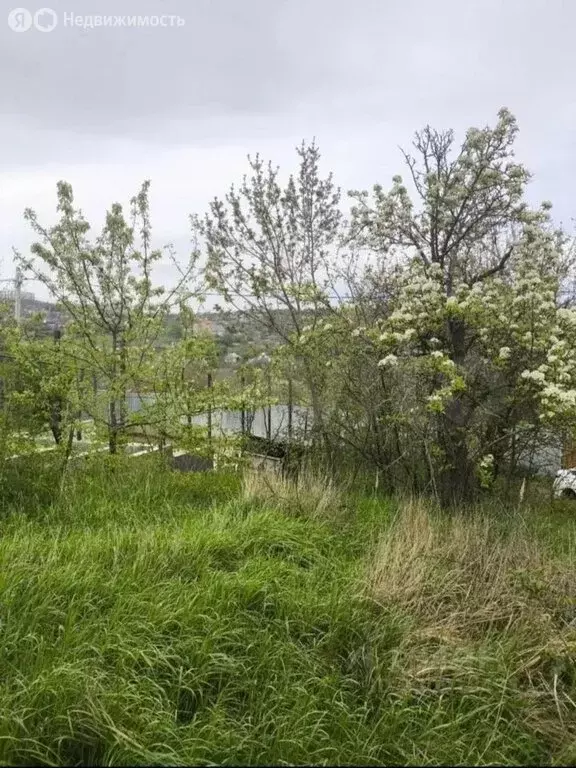 Участок в Ставрополь (6 м) - Фото 1