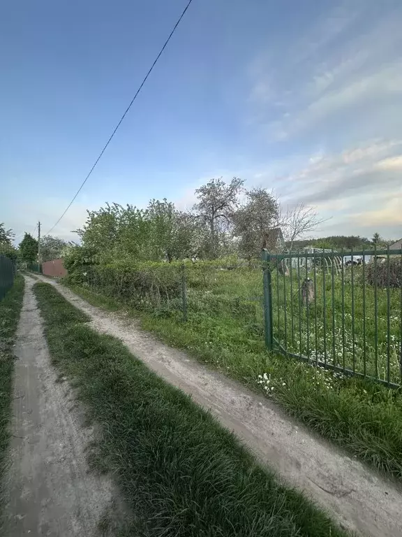 Участок в Смоленская область, Смоленск Черничный сад СНТ, ул. 2-я ... - Фото 1