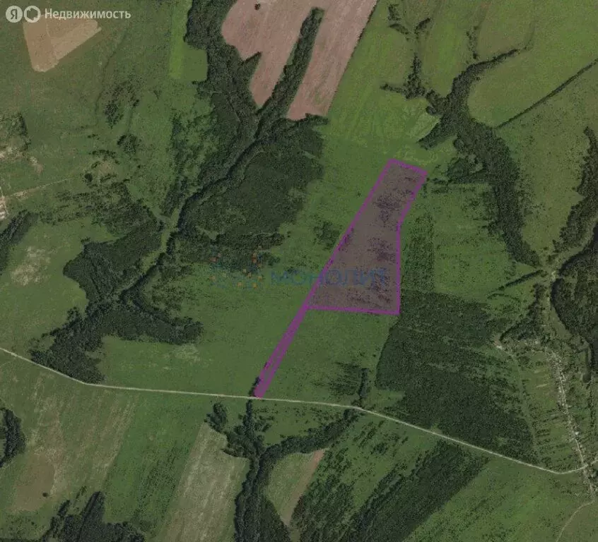 Участок в Нижегородская область, село Дивеево (44.9 м) - Фото 1