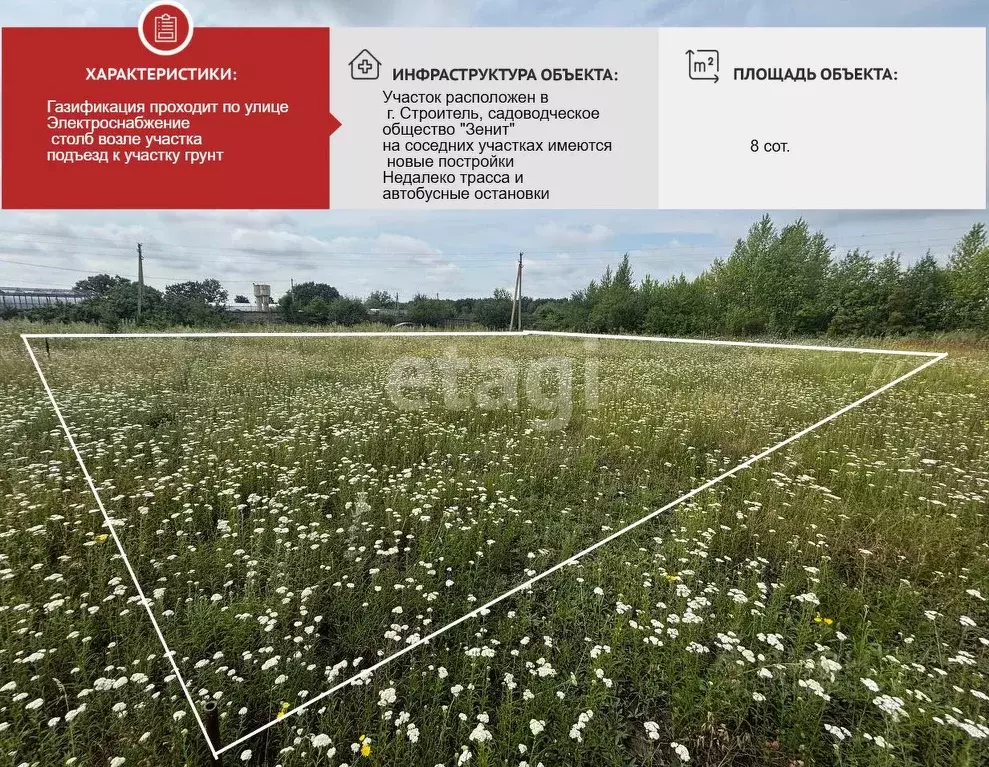 Участок в Белгородская область, Строитель Яковлевский городской округ, ... - Фото 0