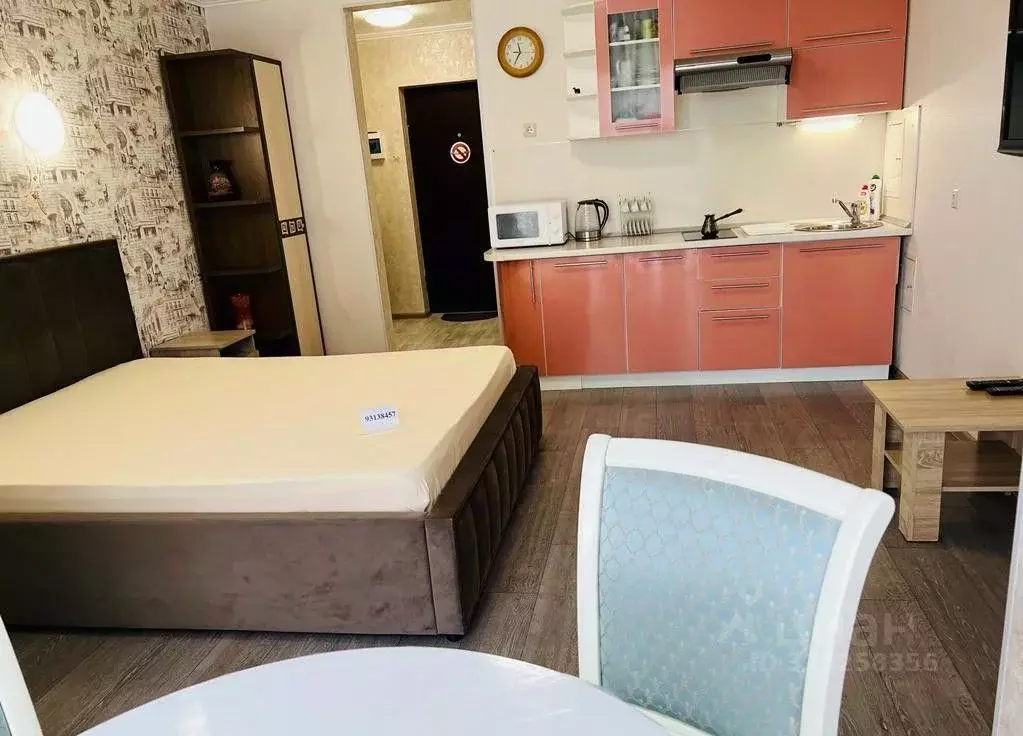 1-к кв. Краснодарский край, Сочи Виноградная ул., 4 (31.0 м) - Фото 1