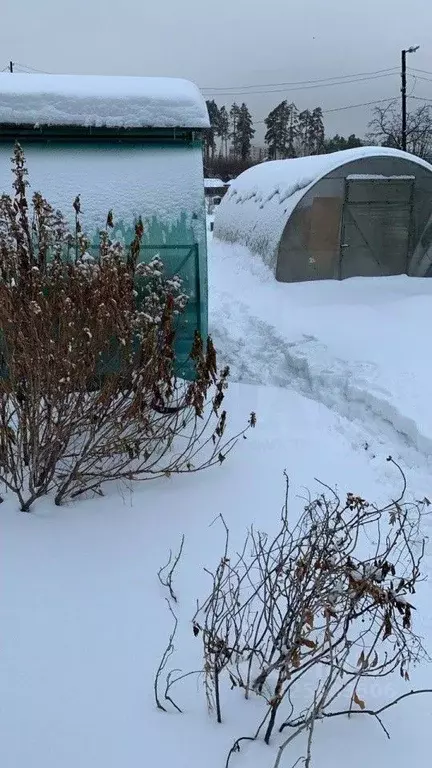 Участок в Свердловская область, Асбест  (5.66 сот.) - Фото 1