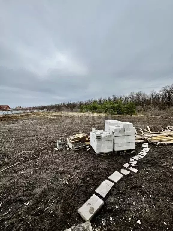 Участок в Белгородская область, Белгородский район, Разумное рп ул. ... - Фото 0