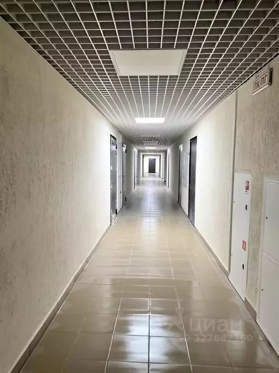 2-к кв. Омская область, Омск ул. Маршала Жукова, 156 (63.0 м) - Фото 2