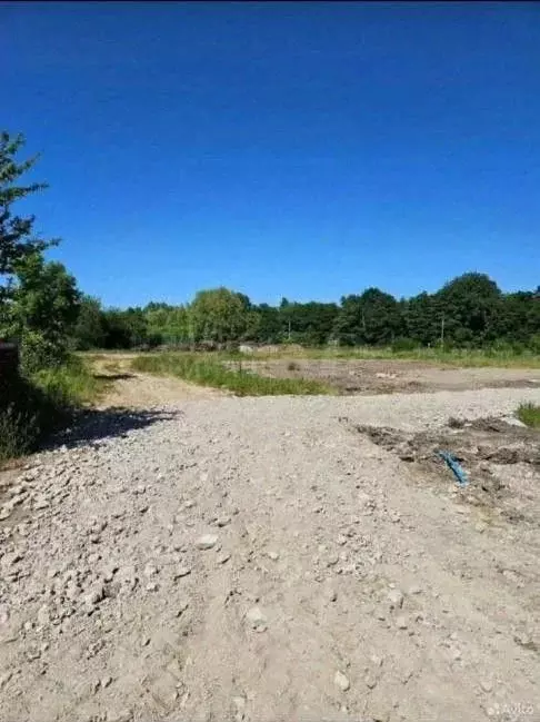 Участок в Калининградская область, Калининград пос. Лермонтовский, ул. ... - Фото 1