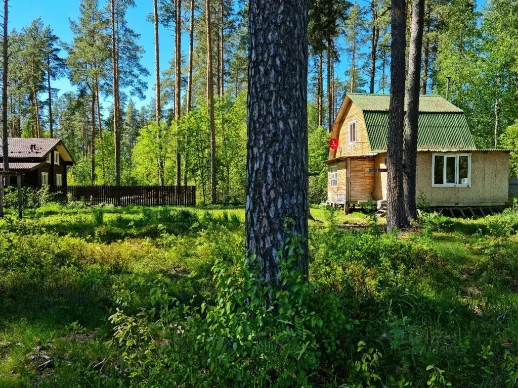 Дом в Ленинградская область, Гатчинский район, Вырица городской ... - Фото 0