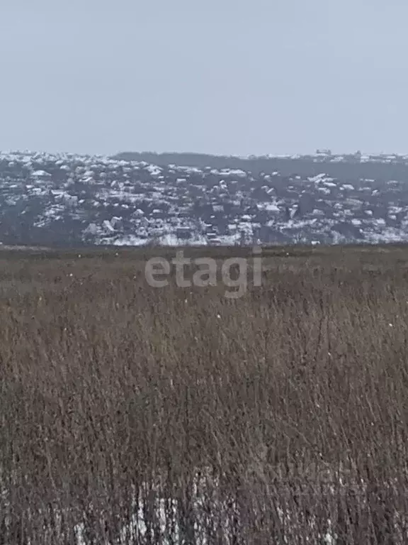 Участок в Белгородская область, Белгородский район, Головинское с/пос, ... - Фото 1