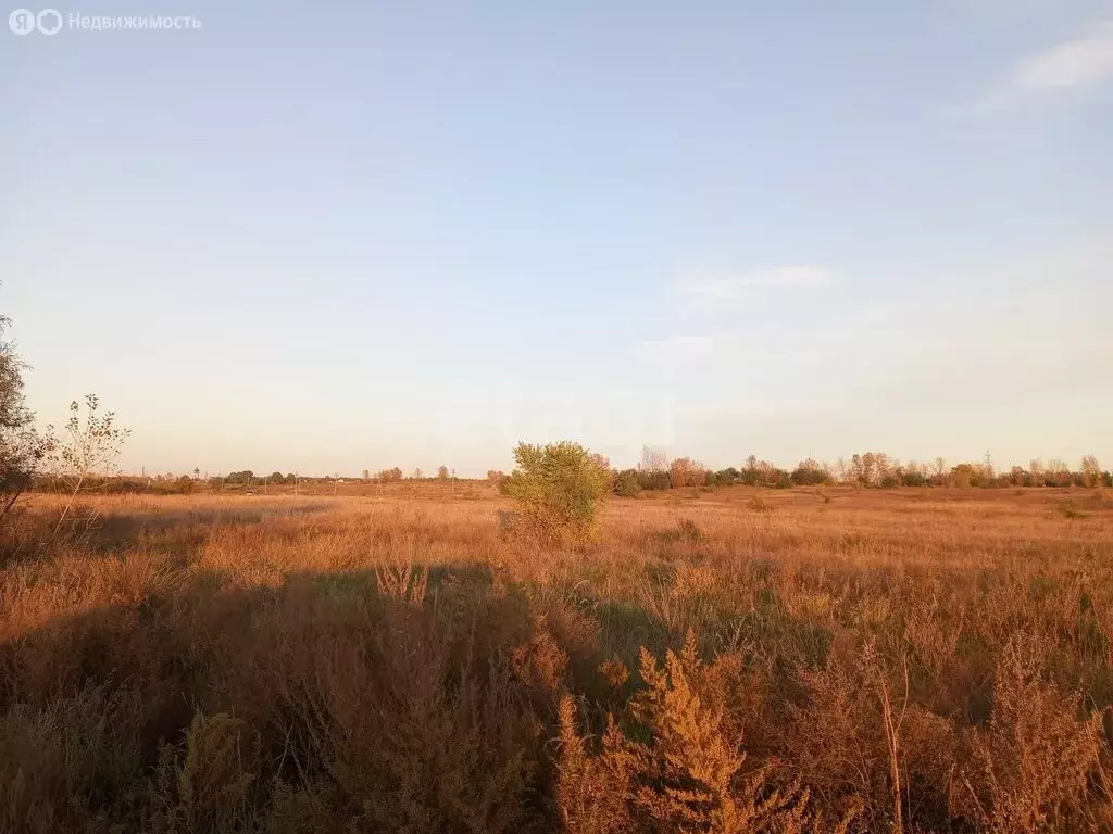 Участок в Красноярский край, Минусинский муниципальный округ, посёлок ... - Фото 2