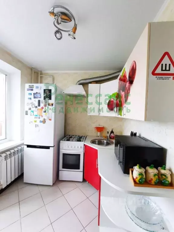 1-к кв. Брянская область, Брянск ул. Костычева, 72 (37.2 м) - Фото 1