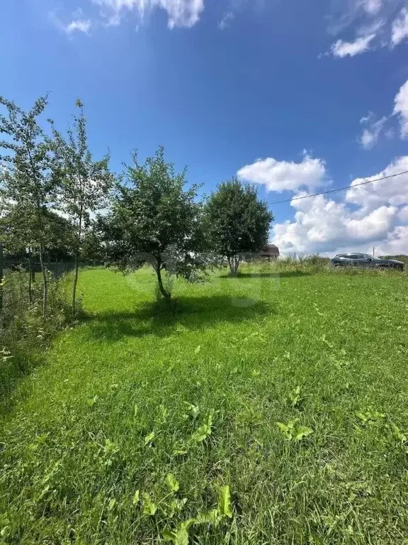 Участок в Калужская область, Жуковский район, Совхоз Чаусово с/пос, ... - Фото 2