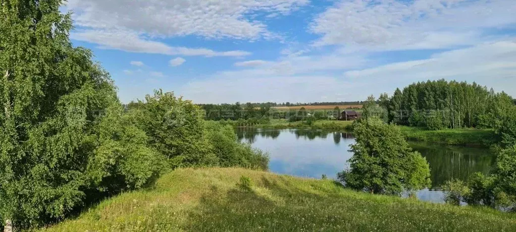 Участок в Татарстан, Арский район, Янга-Салское с/пос, д. Каенсар  ... - Фото 1